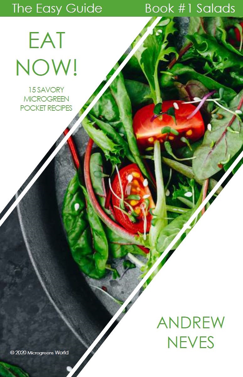 at Now! Book #1 Salads